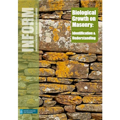 Biological growth on masonry