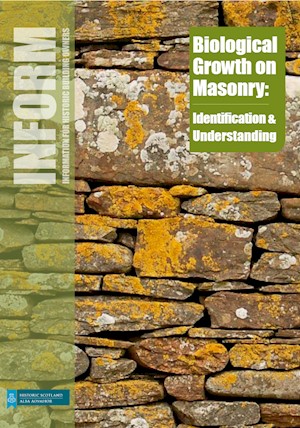 Biological growth on masonry
