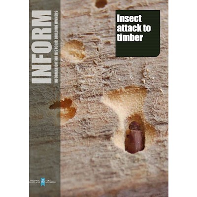 Insect Attack to Timber