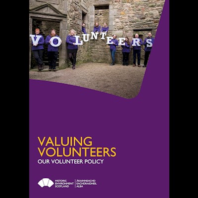 Front cover of Valuing Volunteers