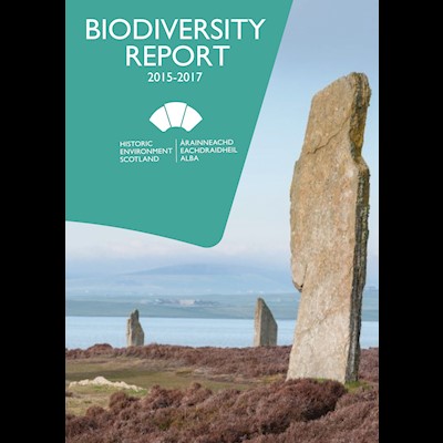 A cover of a document with a large standing stone in the foreground, with a green keystone shape layered over the top.