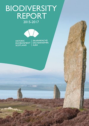 A cover of a document with a large standing stone in the foreground, with a green keystone shape layered over the top.