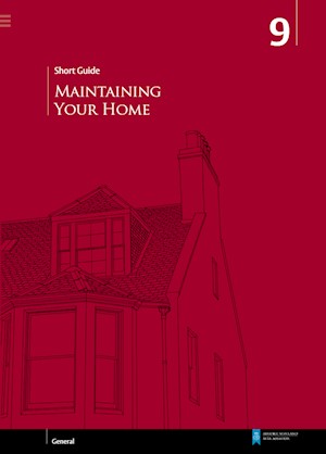 Maintaining Your Home