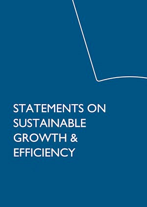 A blue page with the text 'Statements on sustainable growth and efficiency