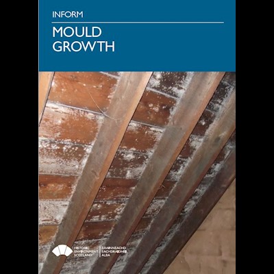A cover page with a picture of mould growing on wooden beams